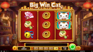Big Win Cat