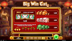 pagamenti Big Win Cat
