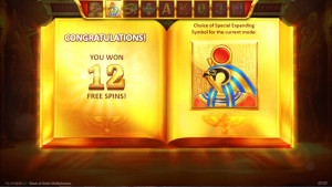 bonus Book of Gold Multichance