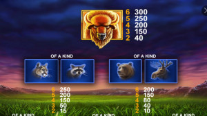 pagamenti Buffalo Blitz