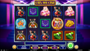 Cats and Cash