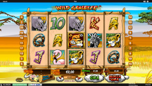 Wild Gambler